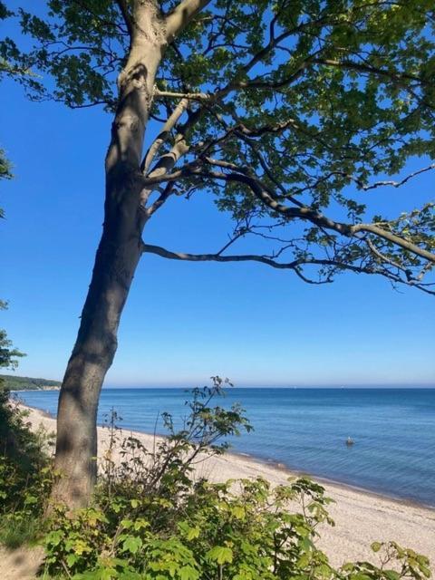 Apartment Bootshaus/ Holzdeck *